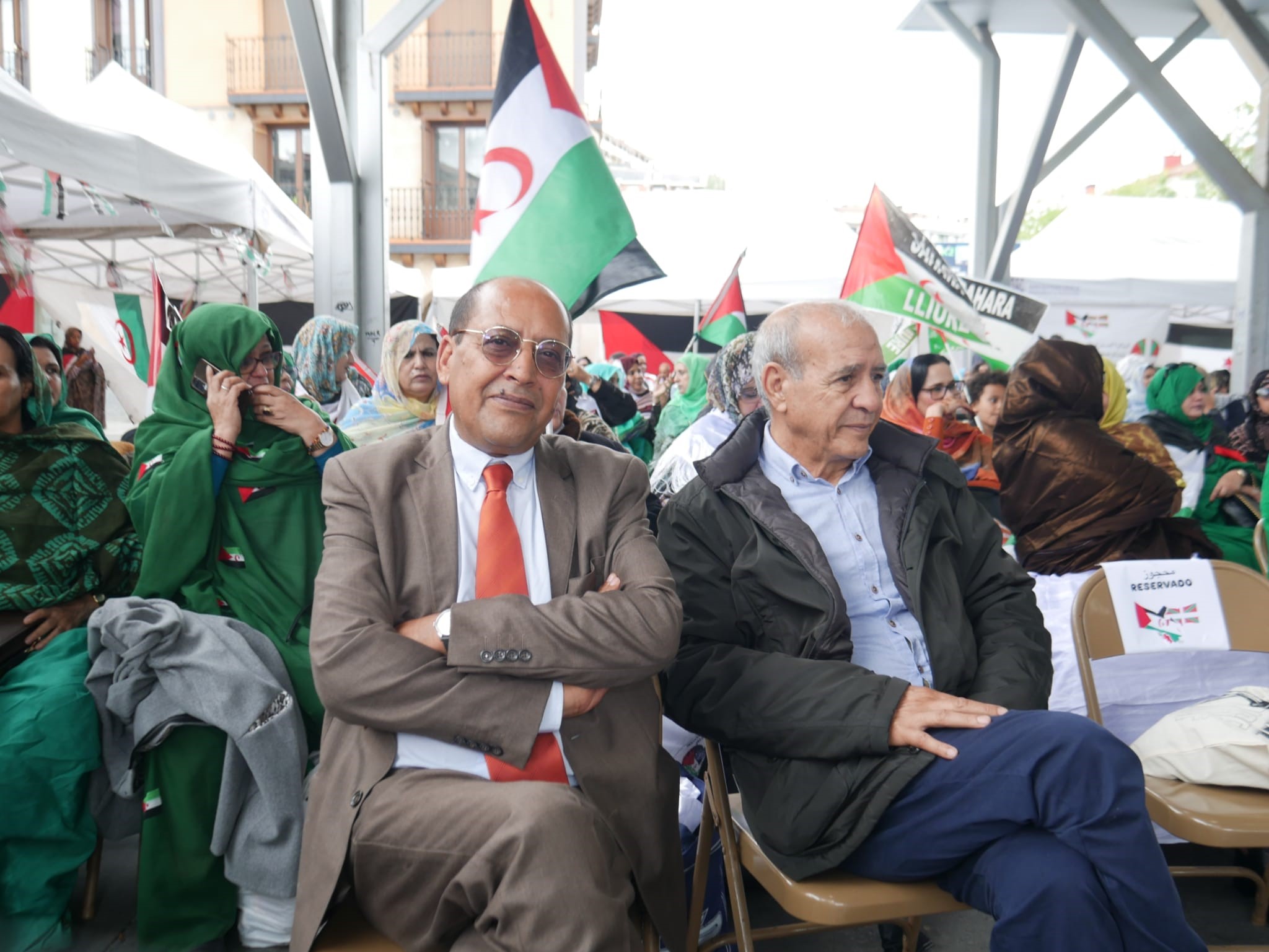 سعيد سعيد
