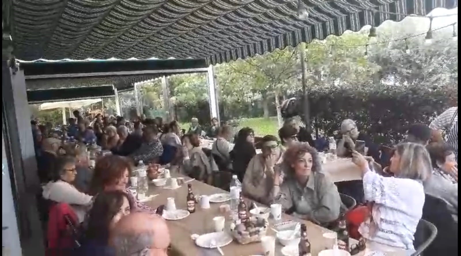 سعيد سعيد