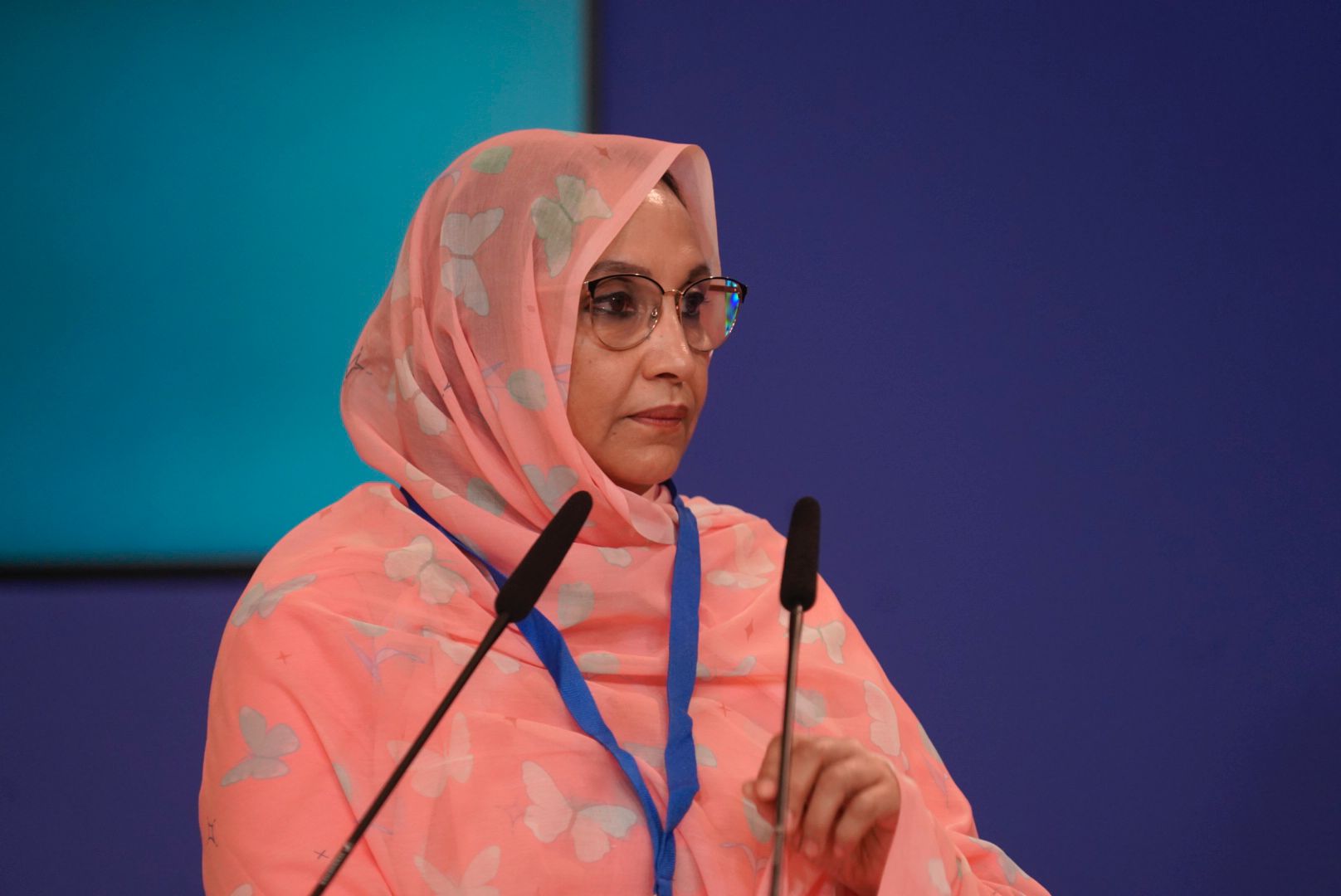 المناطق المحتلة