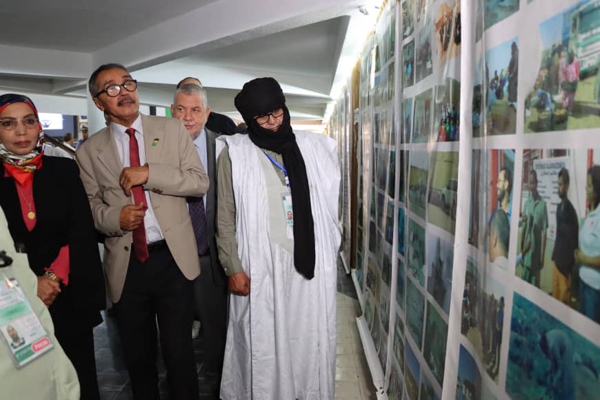 الجزائر