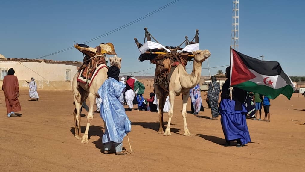 الداخلة