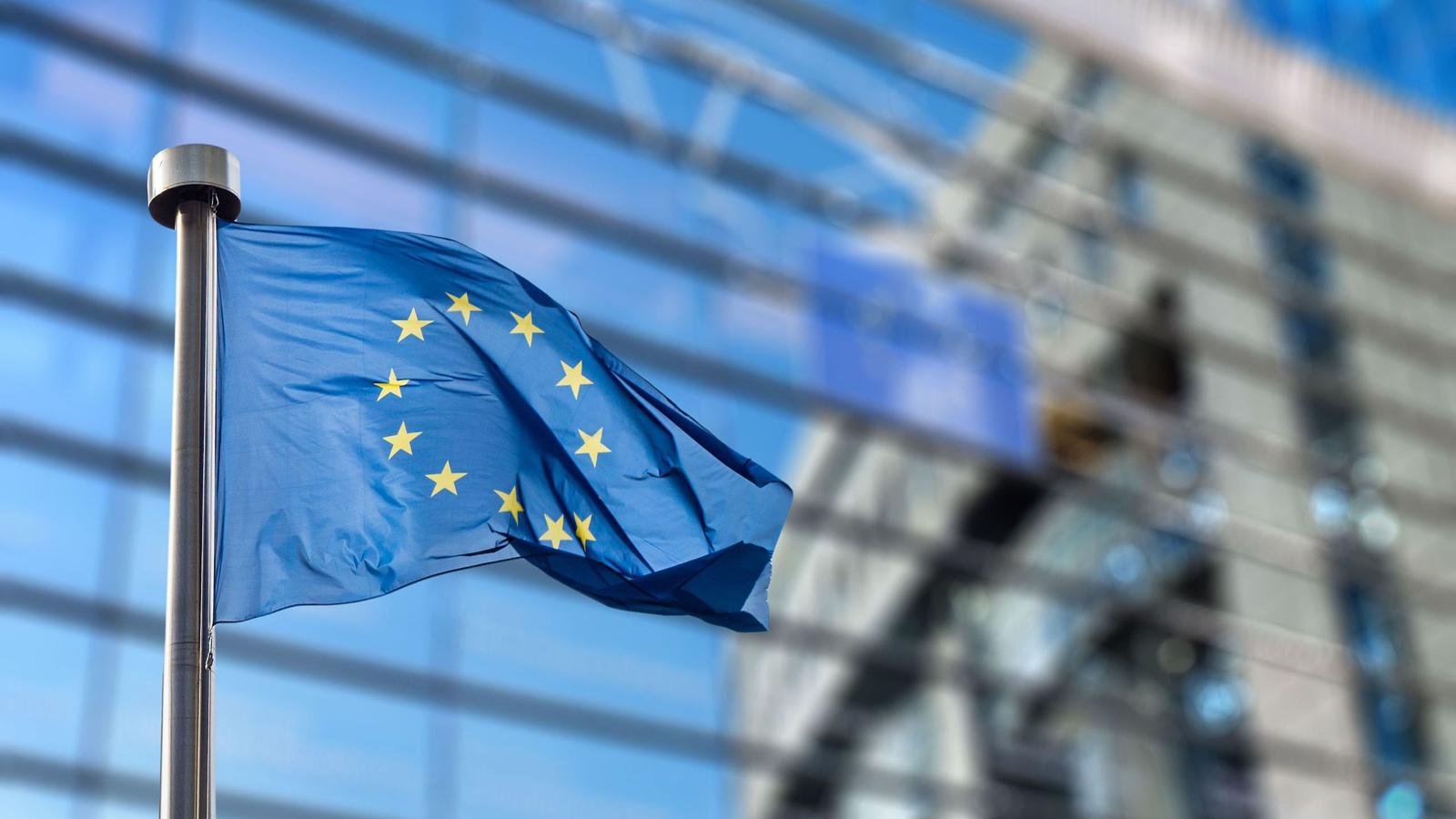 EUflag25