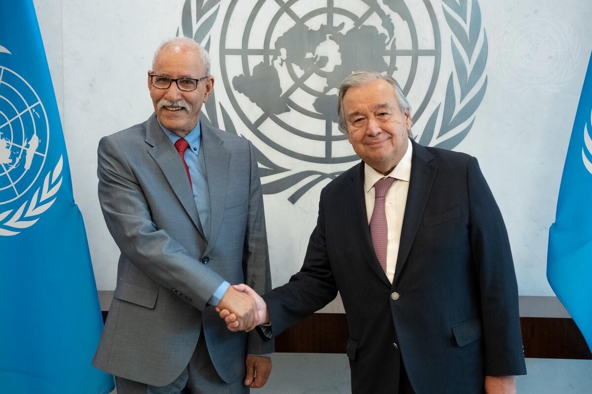 الأمم المتحدة