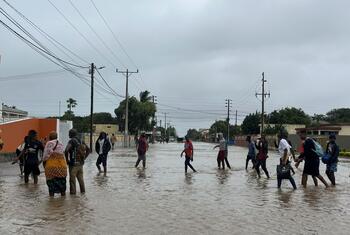 ابراهيم غالي