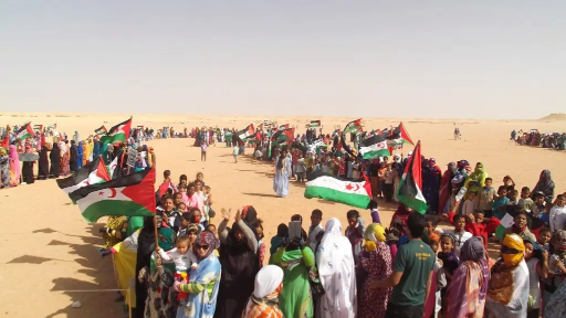 المناطق المحتلة