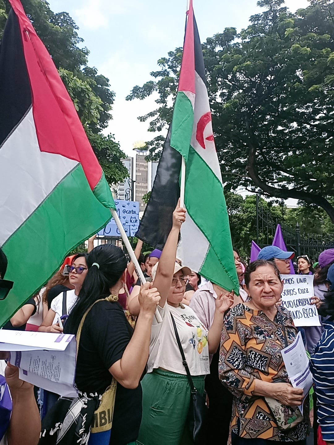 8M en América Latina convoca a solidarias con la causa saharaui