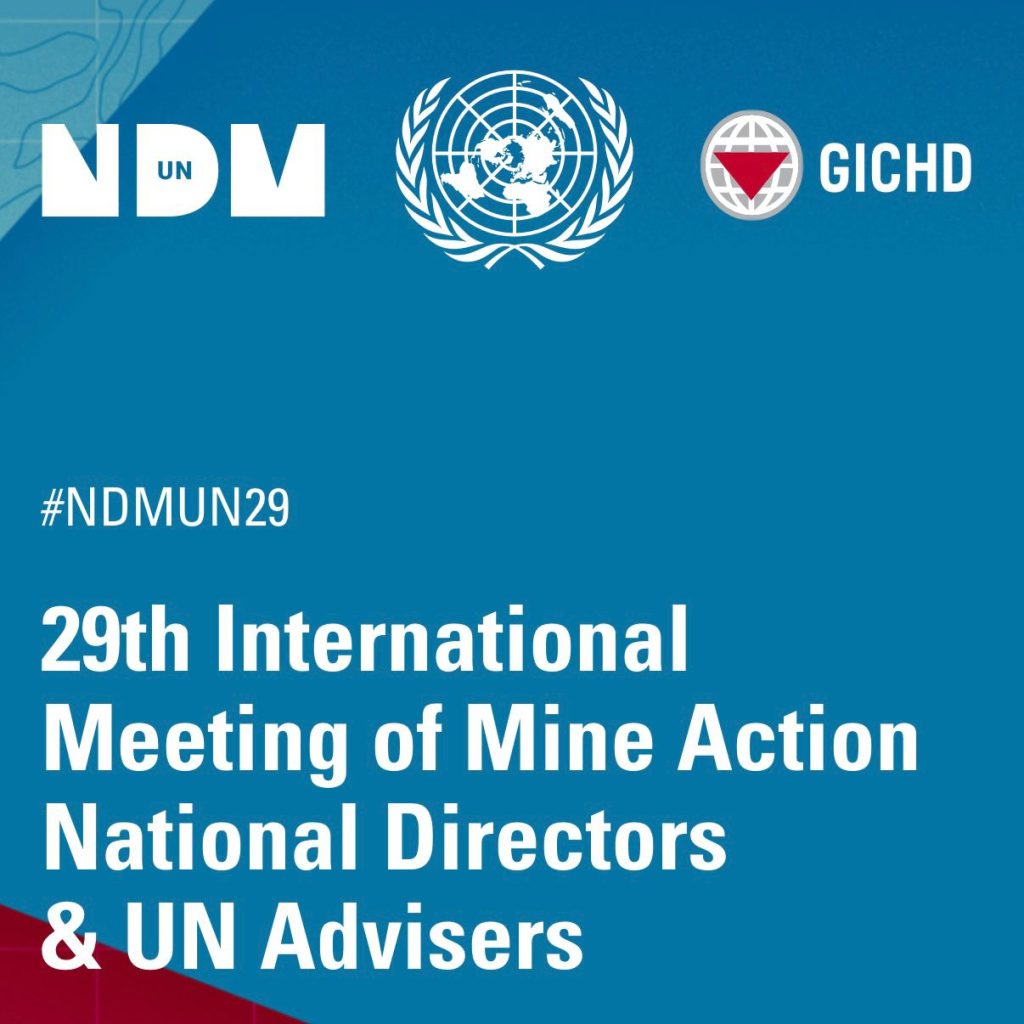 XXIX Reunión Internacional de Directores Nacionales de Acción contra las Minas y Asesores de las Naciones Unidas