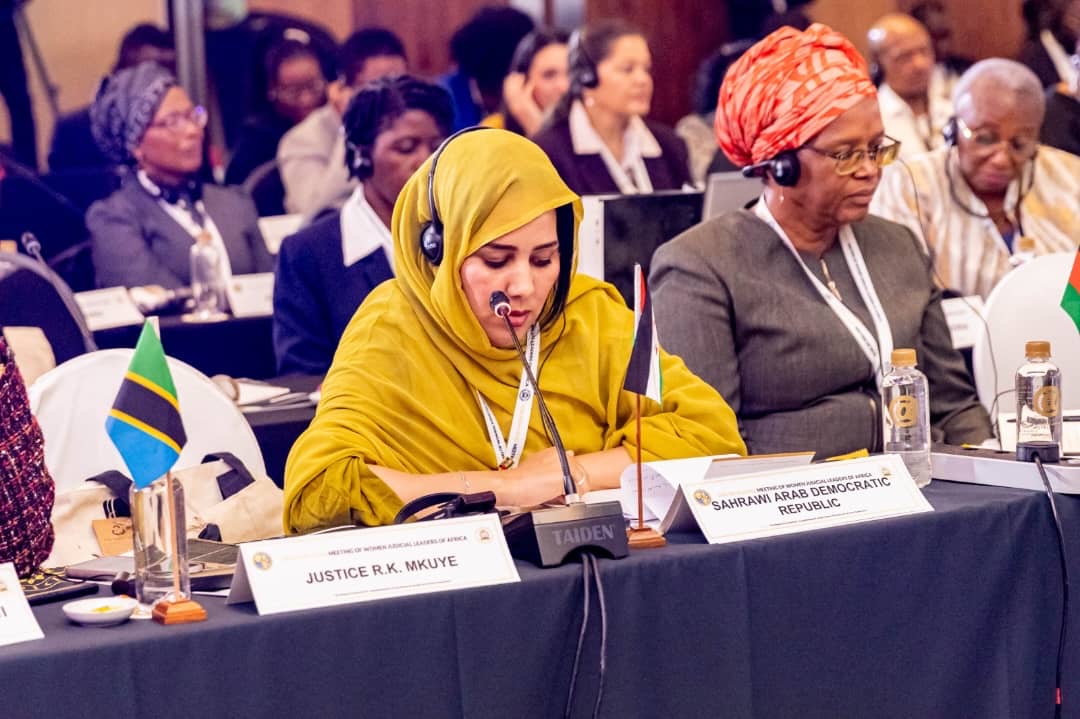 المجلس الدستوري