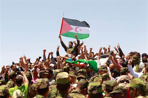 البوليساريو