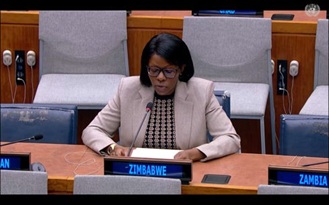Zimbabue IV Comisión