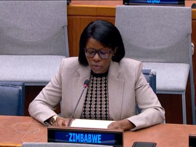 Zimb4thcommi