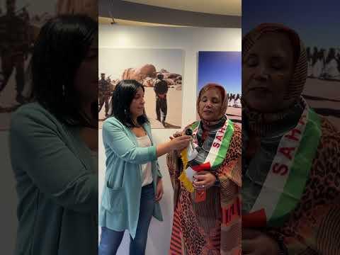 Preview image for the video "Podemos organiza conferencia en el PE para defender la paz  en el Sáhara Occidental y Palestina".