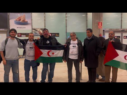 Preview image for the video "Reciben en Madrid a los activistas y periodista españoles expulsados del Sahara Occidental ocupado".