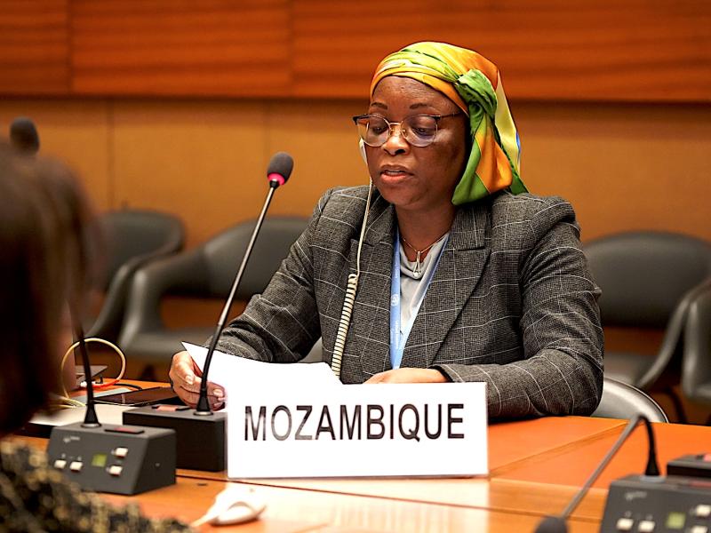 Statement by Mozambique, During the Conference, on the Cause for Self-Determination for people of Western Sahara