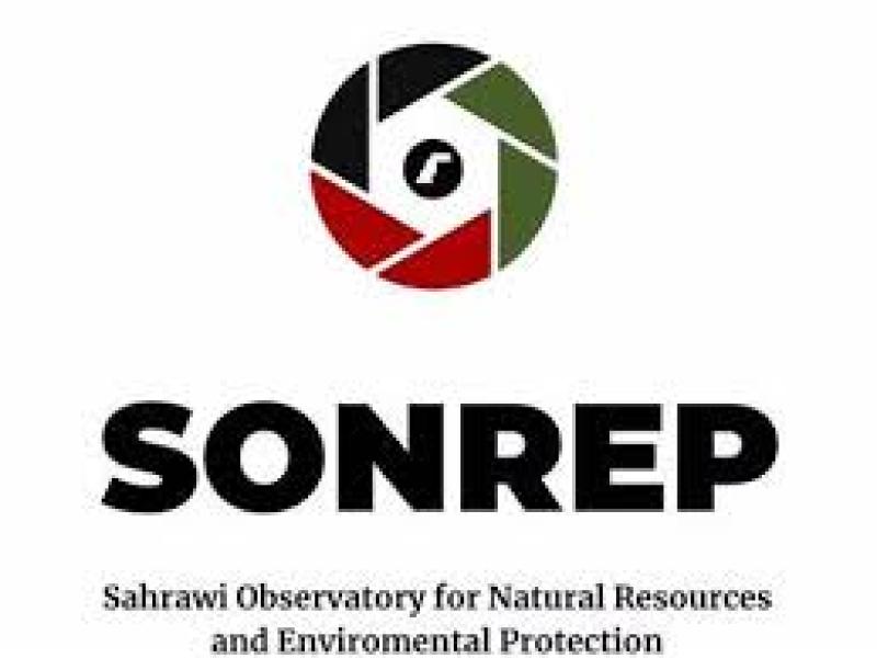 SONREP