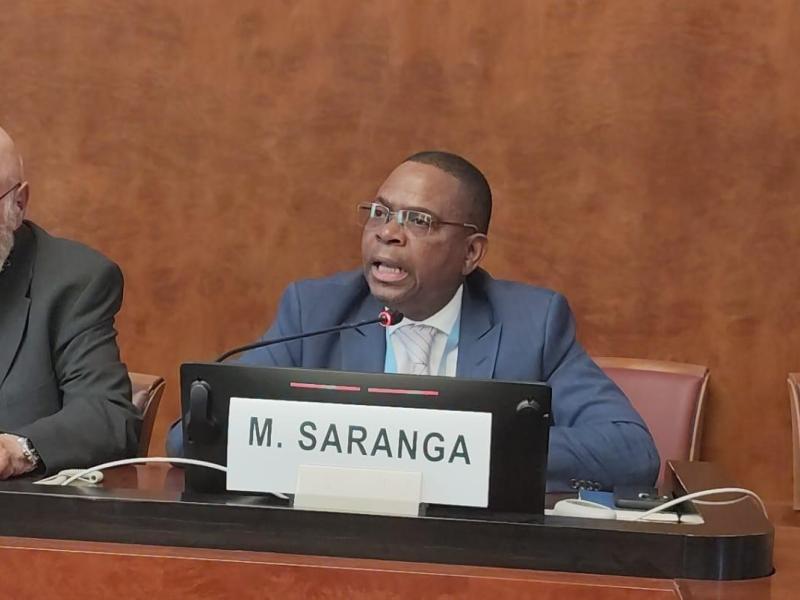 Saranga2616