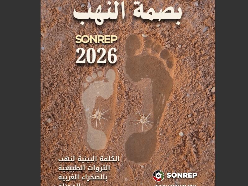 footprintplunder
